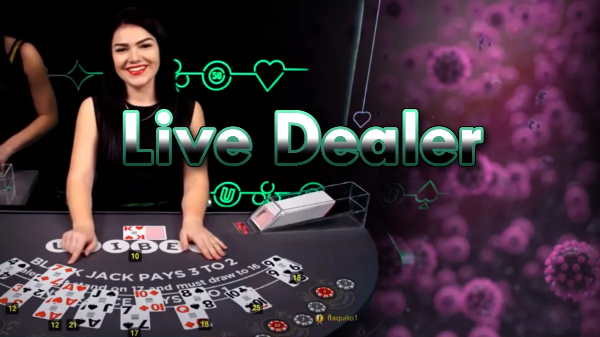Casino Game Live Dealer